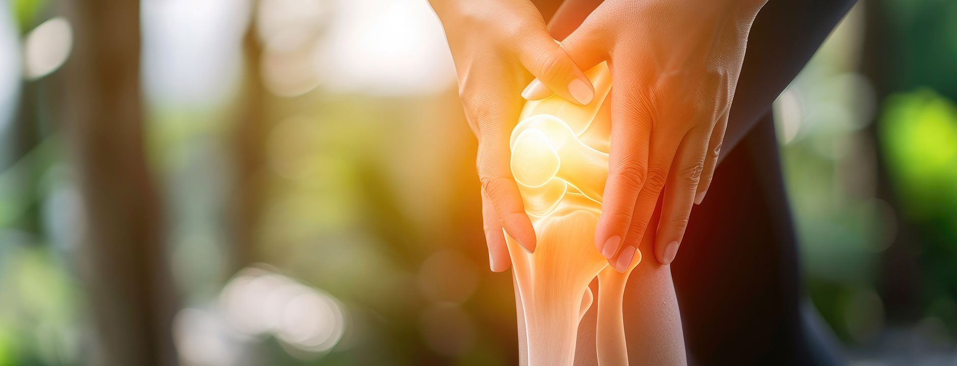 BEST COLLAGEN SUPPLEMENT